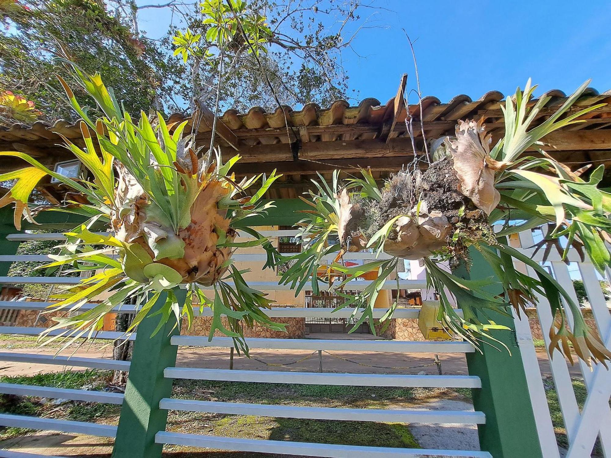 Linda Casa 4 Qts Churrasqueira Prainha Mambucaba Araquari Eksteriør bilde